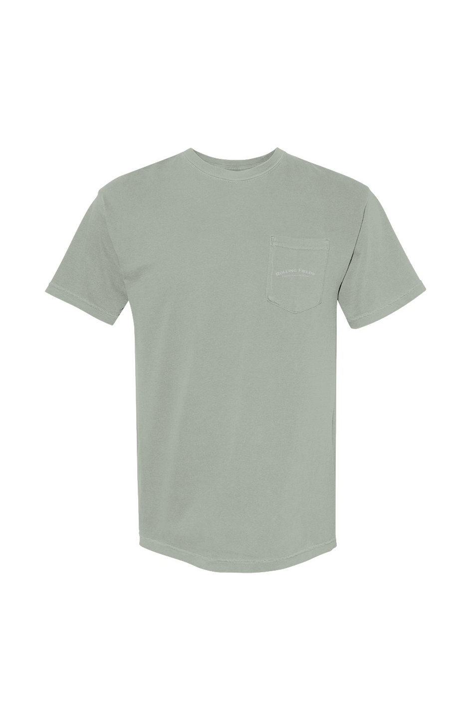 Why Not Us? Comfort Colors Tee