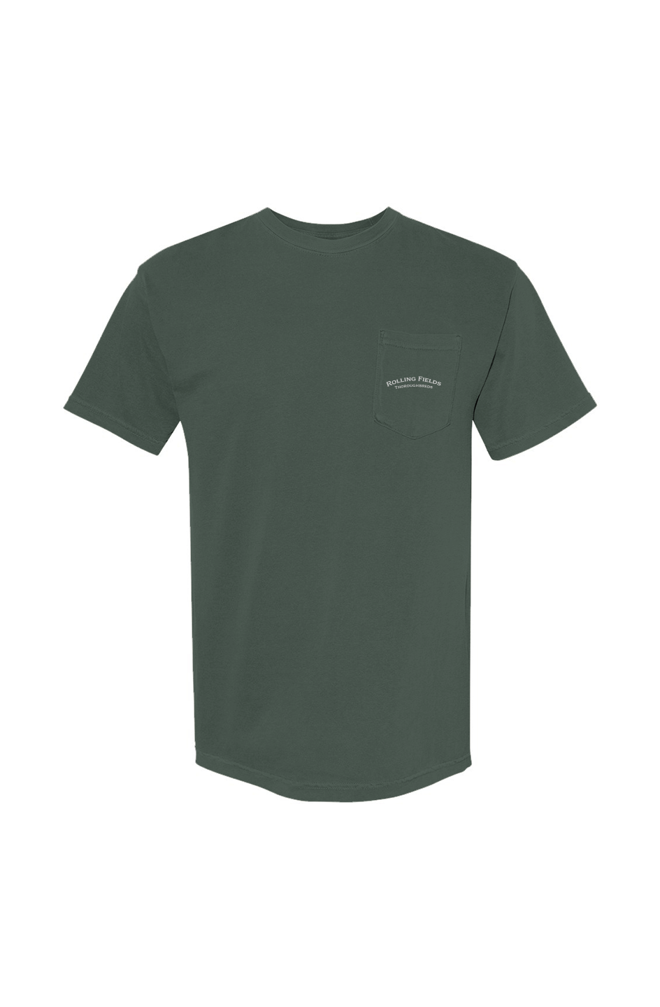 Why Not Us? Comfort Colors Tee